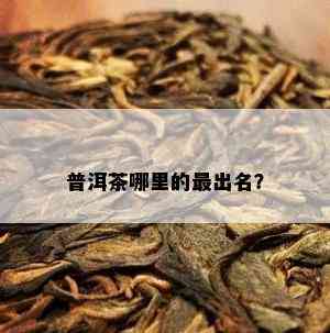 普洱茶哪里的最出名？