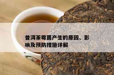 普洱茶霉菌产生的原因、影响及预防措施详解