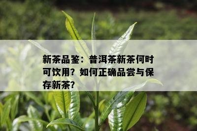 新茶品鉴：普洱茶新茶何时可饮用？如何正确品尝与保存新茶？