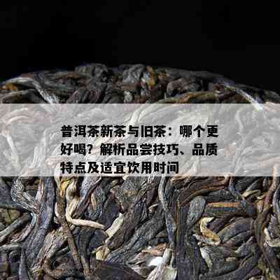 普洱茶新茶与旧茶：哪个更好喝？解析品尝技巧、品质特点及适宜饮用时间