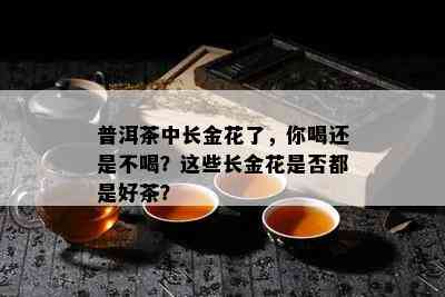 普洱茶中长金花了，你喝还是不喝？这些长金花是否都是好茶？