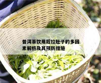 普洱茶饮用后拉肚子的多因素解析及其预防措施