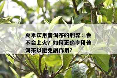 夏季饮用普洱茶的利弊：会不会上火？如何正确享用普洱茶以避免副作用？