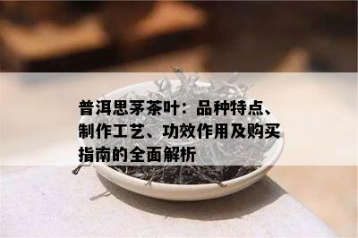 普洱思茅茶叶：品种特点、制作工艺、功效作用及购买指南的全面解析