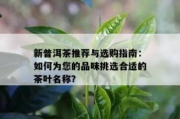 新普洱茶推荐与选购指南：如何为您的品味挑选合适的茶叶名称？