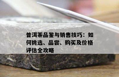 普洱茶品鉴与销售技巧：如何挑选、品尝、购买及价格评估全攻略