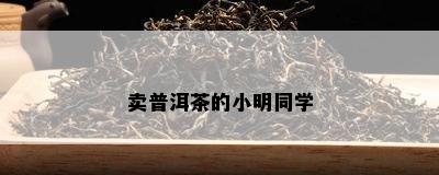 卖普洱茶的小明同学