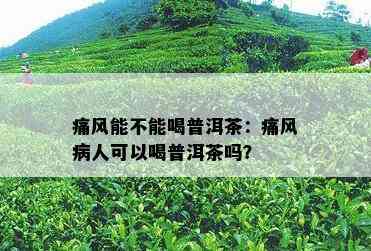 痛风能不能喝普洱茶：痛风病人可以喝普洱茶吗？