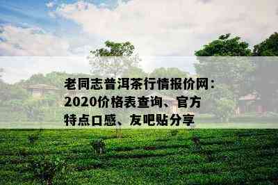 老同志普洱茶行情报价网：2020价格表查询、官方特点口感、友吧贴分享