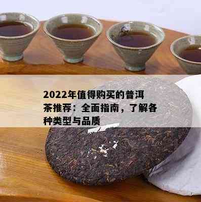 2022年值得购买的普洱茶推荐：全面指南，了解各种类型与品质