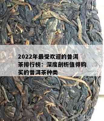 2022年更受欢迎的普洱茶排行榜：深度剖析值得购买的普洱茶种类