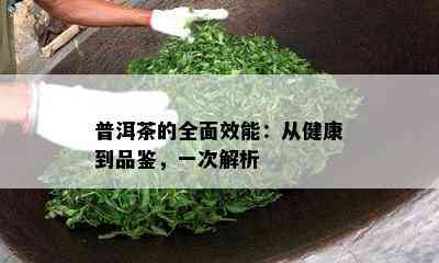 普洱茶的全面效能：从健康到品鉴，一次解析