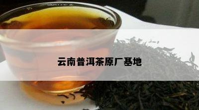 云南普洱茶原厂基地