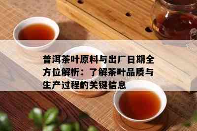 普洱茶叶原料与出厂日期全方位解析：了解茶叶品质与生产过程的关键信息