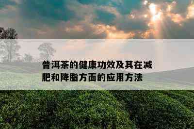 普洱茶的健康功效及其在减肥和降脂方面的应用方法