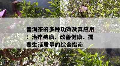 普洱茶的多种功效及其应用：治疗疾病、改善健康、提高生活质量的综合指南