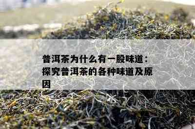 普洱茶为什么有一股味道：探究普洱茶的各种味道及原因