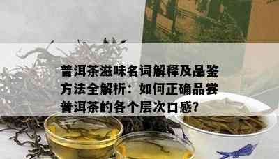 普洱茶滋味名词解释及品鉴方法全解析：如何正确品尝普洱茶的各个层次口感？