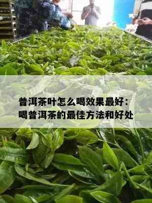 普洱茶叶怎么喝效果更好：喝普洱茶的更佳方法和好处