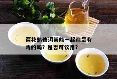 菊花熟普洱茶能一起泡是有的吗？是否可饮用？