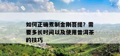 如何正确煮制金刚菩提？需要多长时间以及使用普洱茶的技巧