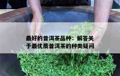 更好的普洱茶品种：解答关于更优质普洱茶的种类疑问