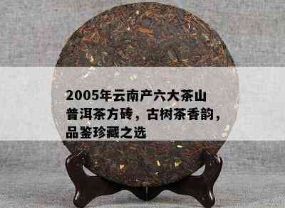 2005年云南产六大茶山普洱茶方砖，古树茶香韵，品鉴珍藏之选