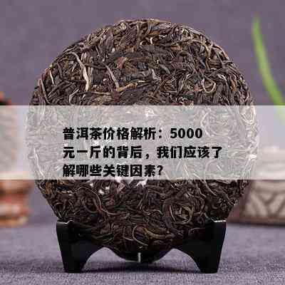 普洱茶价格解析：5000元一斤的背后，我们应该了解哪些关键因素？