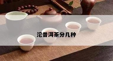 沱普洱茶分几种