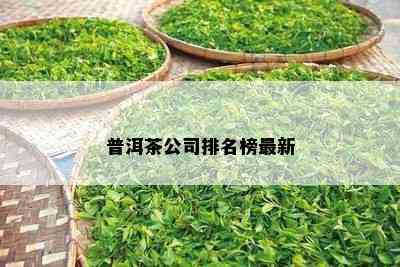 普洱茶公司排名榜最新