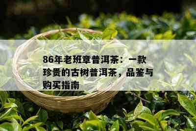 86年老班章普洱茶：一款珍贵的古树普洱茶，品鉴与购买指南