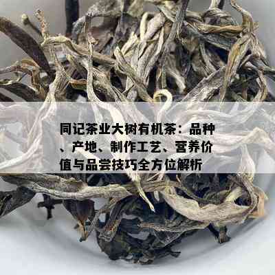 同记茶业大树有机茶：品种、产地、制作工艺、营养价值与品尝技巧全方位解析