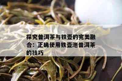 探究普洱茶与铁壶的完美融合：正确使用铁壶泡普洱茶的技巧