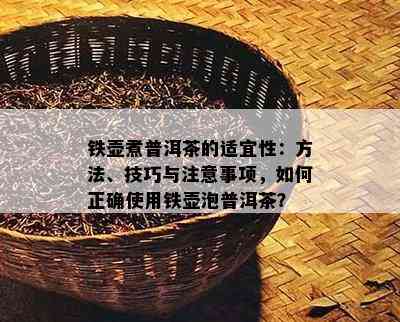 铁壶煮普洱茶的适宜性：方法、技巧与注意事项，如何正确使用铁壶泡普洱茶？