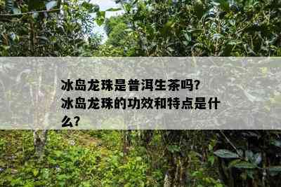 冰岛龙珠是普洱生茶吗？ 冰岛龙珠的功效和特点是什么？