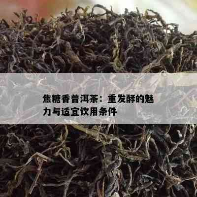 焦糖香普洱茶：重发酵的魅力与适宜饮用条件