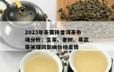 2023年茶莫停普洱茶市场分析：生茶、老树、易武等关键词影响价格走势