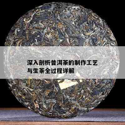 深入剖析普洱茶的制作工艺与生茶全过程详解