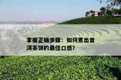 掌握正确步骤：如何煮出普洱茶饼的更佳口感？