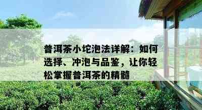 普洱茶小坨泡法详解：如何选择、冲泡与品鉴，让你轻松掌握普洱茶的精髓