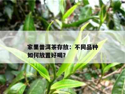 家里普洱茶存放：不同品种如何放置好喝？