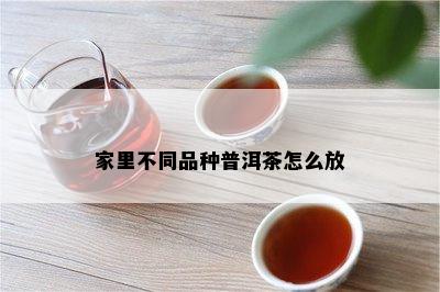 家里不同品种普洱茶怎么放