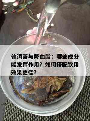 普洱茶与降血脂：哪些成分能发挥作用？如何搭配饮用效果更佳？