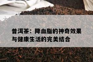 普洱茶：降血脂的神奇效果与健康生活的完美结合