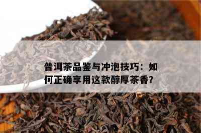 普洱茶品鉴与冲泡技巧：如何正确享用这款醇厚茶香？