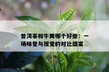 普洱茶和牛粪哪个好些：一场味觉与视觉的对比盛宴