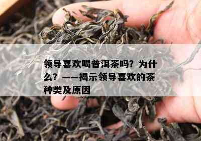 领导喜欢喝普洱茶吗？为什么？——揭示领导喜欢的茶种类及原因