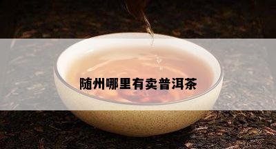 随州哪里有卖普洱茶