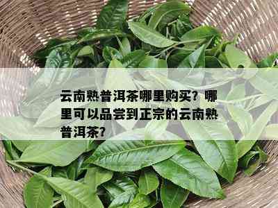 云南熟普洱茶哪里购买？哪里可以品尝到正宗的云南熟普洱茶？