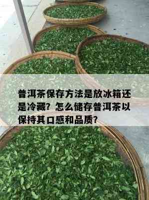 普洱茶保存方法是放冰箱还是冷藏？怎么储存普洱茶以保持其口感和品质？